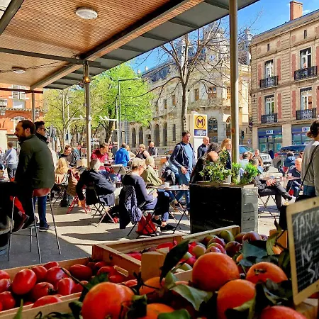 Cocon Au Coeur De La Ville Toulouse
