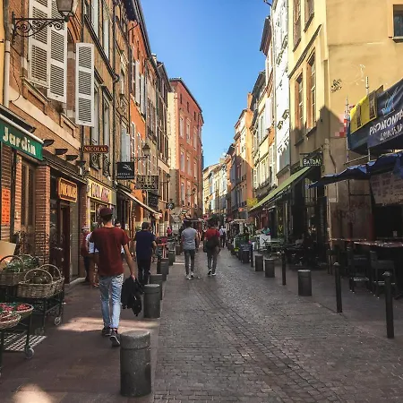 Cocon Au Coeur De La Ville Toulouse